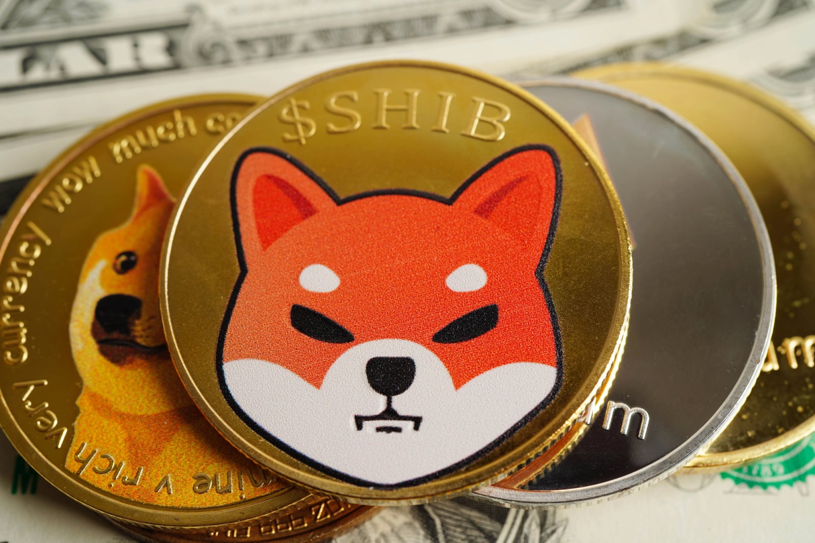 Japan’s Largest Marketplace Lists Shiba Inu (SHIB) and Dogecoin for 23 Million Users – U.Today
